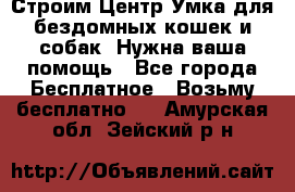 Строим Центр Умка для бездомных кошек и собак! Нужна ваша помощь - Все города Бесплатное » Возьму бесплатно   . Амурская обл.,Зейский р-н